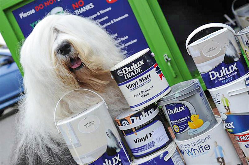 Changing Lives with Colour | Community Charity Fundraising | Dulux